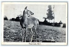 C1905 deer hunting for sale  Terre Haute