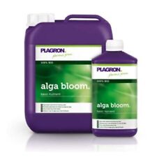 Plagron alga bloom usato  Pescara