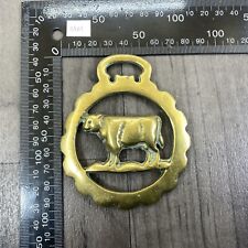 Brass bull cow for sale  CULLOMPTON