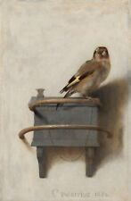 Goldfinch carel fabritius for sale  Amesbury