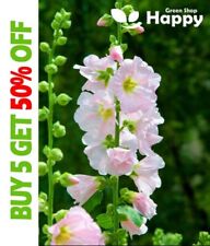 Herb marsh mallow for sale  DONCASTER