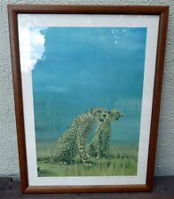 Paul bosman cheetah for sale  Ben Lomond