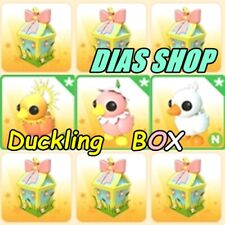 Duckling box pets for sale  Shipping to Ireland