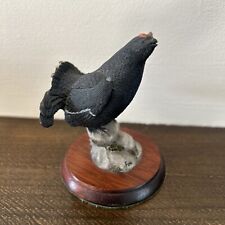 Small black grouse for sale  NORWICH