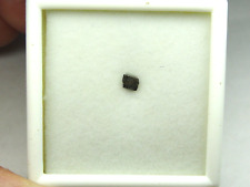 Meteorite nwa 8159 for sale  Hebron