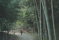 Kyoto bamboo grove for sale  BRISTOL