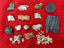 Mineralien steine fossilien gebraucht kaufen  DO-Aplerbeck