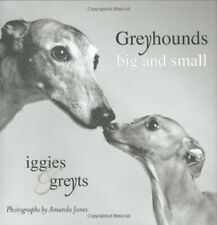Greyhounds big small for sale  UK
