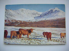 Skye postcard highland for sale  FALKIRK