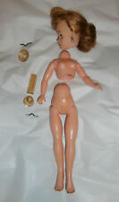 Doll doctor restring for sale  Saugerties