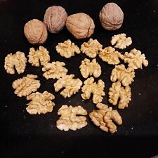 Spanish walnuts whole for sale  BRISTOL