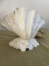 Beautiful vintage seashell for sale  Cape Coral