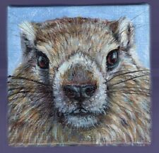 Marmot portrait acrylic d'occasion  Toulon-
