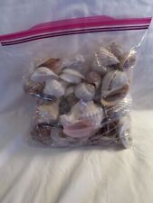 Bag of Sea Shells - freezer size bag, used for sale  Shipping to South Africa