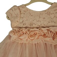 Vestido de festa Peppa e Julie bebê menina tamanho 3/6 Mos pétala rosa anáguas rosas  comprar usado  Enviando para Brazil