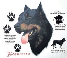 Beauceron dog breed d'occasion  Expédié en Belgium