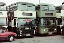 Bus negative alpine for sale  WIMBORNE
