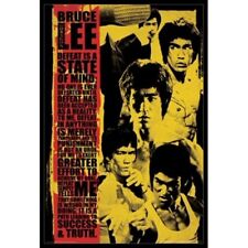Bruce lee state for sale  Independence