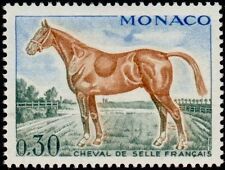 Monaco 833 chevaux d'occasion  Grisolles