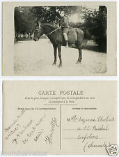 Saddle horse.riding horse.phot d'occasion  Expédié en Belgium