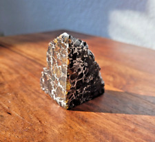 Brahin pallasit meteorit gebraucht kaufen  Nürnberg