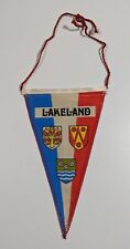 Vintage small pennant for sale  BRADFORD