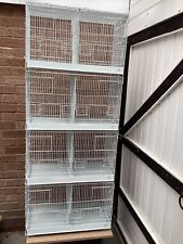 Wire bird breeding for sale  SOLIHULL
