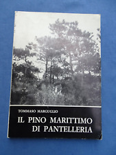 Marguglio pino marittimo usato  Napoli