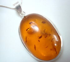 Genuine gram amber for sale  Hales Corners