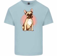 French bulldog men for sale  COVENTRY