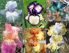 Exotic rare iris for sale  Goldsboro
