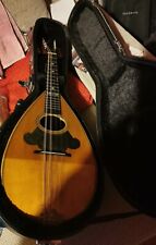 Washburn mandolin 1905 for sale  Ireland