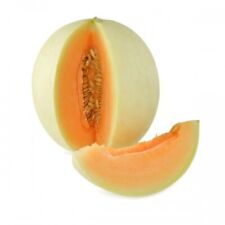 Semi melone liscio usato  Verrayes
