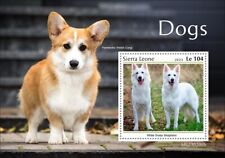 Selos de cães Pembroke galês corgi pastor suíço branco sem marca de charneira 2023 Serra Leoa P/S comprar usado  Enviando para Brazil
