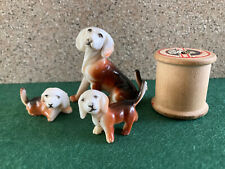 miniature puppies for sale  TRURO