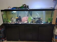 125 gal fish for sale  Hollywood