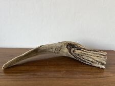 Interesting driftwood piece for sale  BRAINTREE