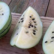 Cream saskatchewan watermelon for sale  Tarpon Springs