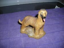afghan hound puppies for sale  Severna Park
