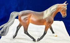 morgan mare for sale  Tucson