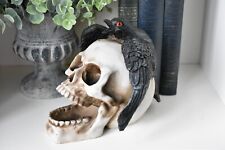 Skull skeleton ornament for sale  SPALDING
