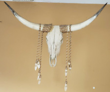 Steer skull long for sale  Hopewell Junction