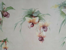 Stanhopea tigrina vouga d'occasion  Pluvigner