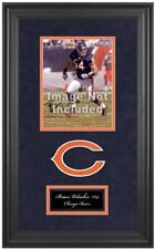 Bears deluxe vertical for sale  Fort Lauderdale