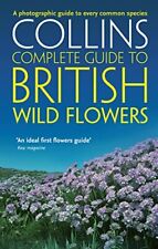 British wild flowers for sale  UK