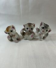 5 kittens for sale  Arkansas City
