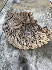 Driftwood live oak for sale  Savannah