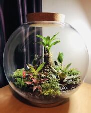 Large terrarium bowl for sale  LONDON