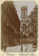 Reims the cathedral. d'occasion  Expédié en Belgium