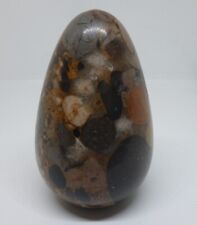 Dinosaur coprolite fossil for sale  Cohoes